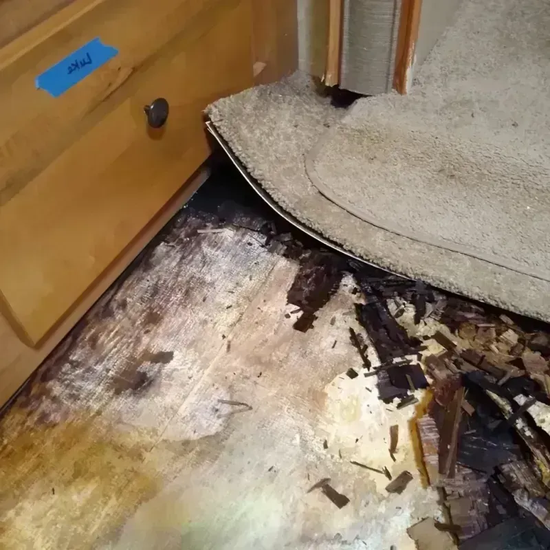 Wood Floor Water Damage in Palm Bay, FL